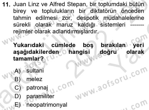 Karşılaştırmalı Siyasal Sistemler Dersi 2022 - 2023 Yılı Yaz Okulu Sınav Soruları 11. Soru