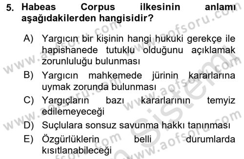 Karşılaştırmalı Siyasal Sistemler Dersi 2022 - 2023 Yılı Yaz Okulu Sınav Soruları 5. Soru
