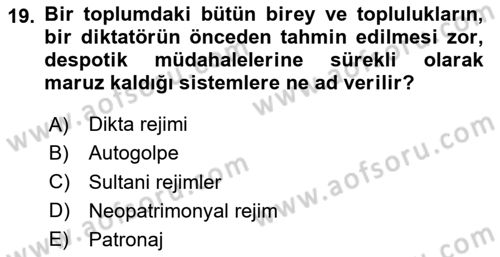 Karşılaştırmalı Siyasal Sistemler Dersi 2023 - 2024 Yılı Yaz Okulu Sınavı 19. Soru