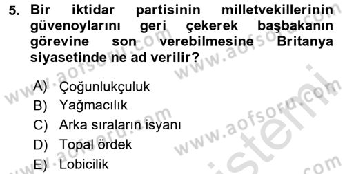 Karşılaştırmalı Siyasal Sistemler Dersi 2024 - 2025 Yılı (Vize) Ara Sınav Soruları 5. Soru