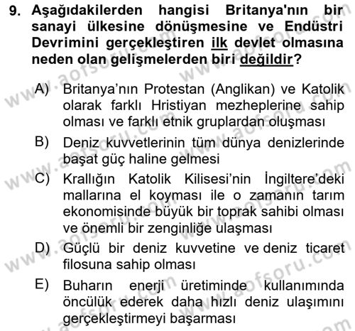 Karşılaştırmalı Siyasal Sistemler Dersi 2024 - 2025 Yılı (Vize) Ara Sınav Soruları 9. Soru