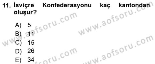 Karşılaştırmalı Siyasal Sistemler Dersi 2025 - 2026 Yılı (Final) Dönem Sonu Sınav Soruları 11. Soru