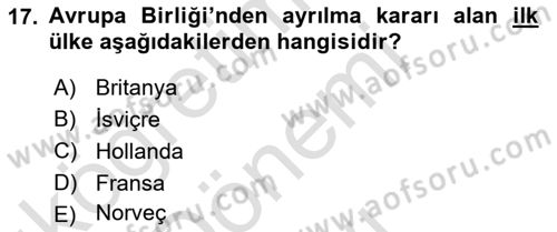 Karşılaştırmalı Siyasal Sistemler Dersi 2025 - 2026 Yılı (Final) Dönem Sonu Sınav Soruları 17. Soru