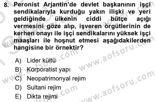 Karşılaştırmalı Siyasal Sistemler Dersi 2025 - 2026 Yılı (Final) Dönem Sonu Sınav Soruları 8. Soru