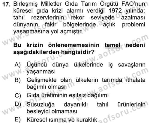 Uluslararası Ekonomi Politik Dersi 2016 - 2017 Yılı 3 Ders Sınavı 17. Soru