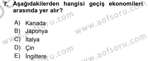 Uluslararası Ekonomi Politik Dersi 2016 - 2017 Yılı 3 Ders Sınavı 7. Soru