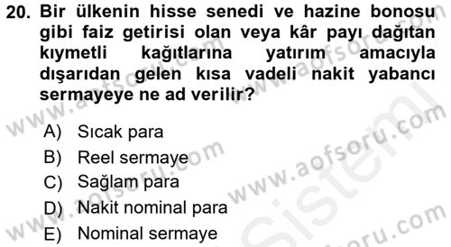 Uluslararası Ekonomi Politik Dersi 2017 - 2018 Yılı 3 Ders Sınavı 20. Soru