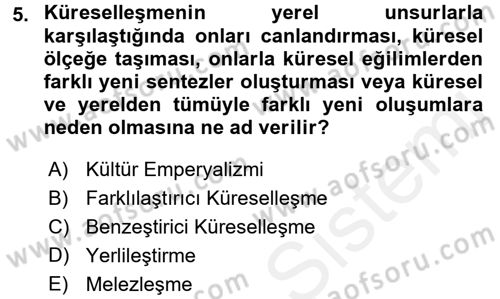 Uluslararası Ekonomi Politik Dersi 2017 - 2018 Yılı 3 Ders Sınavı 5. Soru