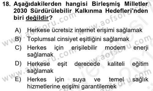 Uluslararası Ekonomi Politik Dersi 2017 - 2018 Yılı (Vize) Ara Sınavı 18. Soru