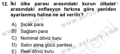 Uluslararası Ekonomi Politik Dersi 2018 - 2019 Yılı (Final) Dönem Sonu Sınavı 12. Soru