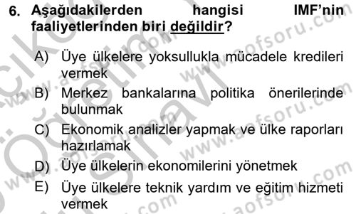 Uluslararası Ekonomi Politik Dersi 2018 - 2019 Yılı Yaz Okulu Sınavı 6. Soru