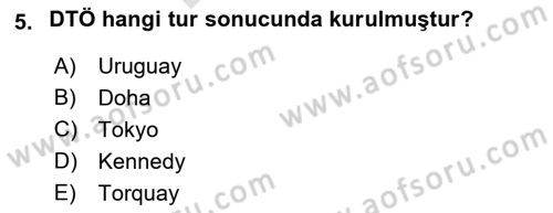 Uluslararası Ekonomi Politik Dersi 2021 - 2022 Yılı (Final) Dönem Sonu Sınavı 5. Soru