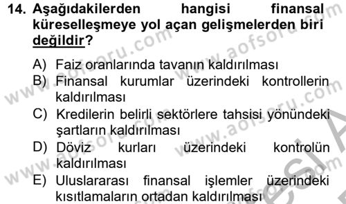 Uluslararası Politik Ekonomi Dersi 2012 - 2013 Yılı (Final) Dönem Sonu Sınav Soruları 14. Soru