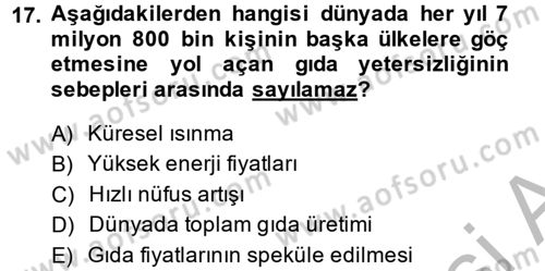 Uluslararası Politik Ekonomi Dersi 2013 - 2014 Yılı (Final) Dönem Sonu Sınav Soruları 17. Soru
