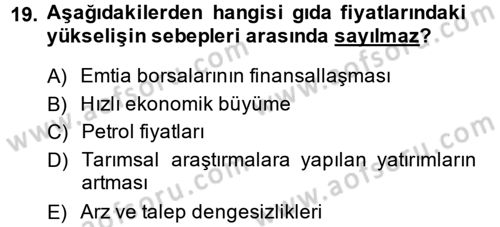 Uluslararası Politik Ekonomi Dersi 2013 - 2014 Yılı (Final) Dönem Sonu Sınav Soruları 19. Soru