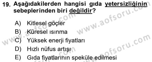 Uluslararası Politik Ekonomi Dersi 2015 - 2016 Yılı (Final) Dönem Sonu Sınav Soruları 19. Soru