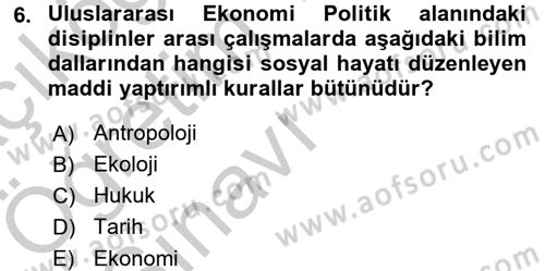 Uluslararası Politik Ekonomi Dersi 2016 - 2017 Yılı 3 Ders Sınav Soruları 6. Soru