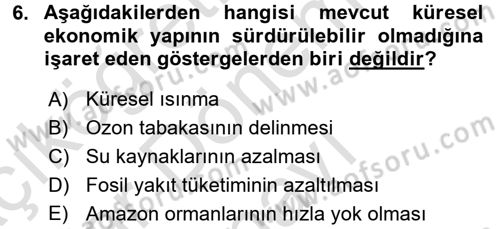 Uluslararası Politik Ekonomi Dersi 2016 - 2017 Yılı (Final) Dönem Sonu Sınav Soruları 6. Soru