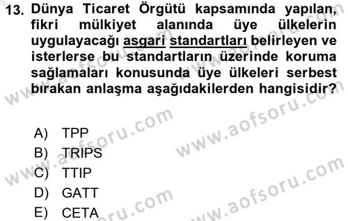 Uluslararası Politik Ekonomi Dersi 2017 - 2018 Yılı 3 Ders Sınav Soruları 13. Soru