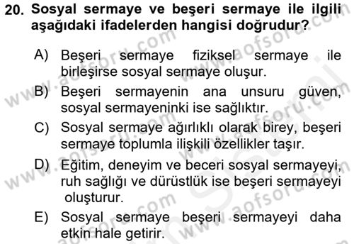 Uluslararası Politik Ekonomi Dersi 2017 - 2018 Yılı (Vize) Ara Sınav Soruları 20. Soru