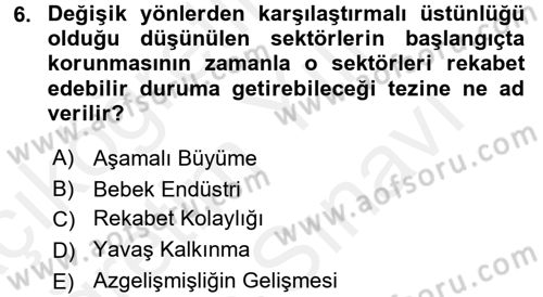 Uluslararası Politik Ekonomi Dersi 2017 - 2018 Yılı (Vize) Ara Sınav Soruları 6. Soru
