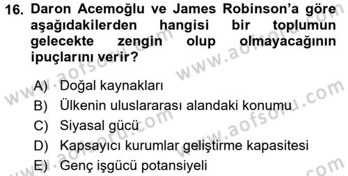 Uluslararası Politik Ekonomi Dersi 2018 - 2019 Yılı 3 Ders Sınav Soruları 16. Soru
