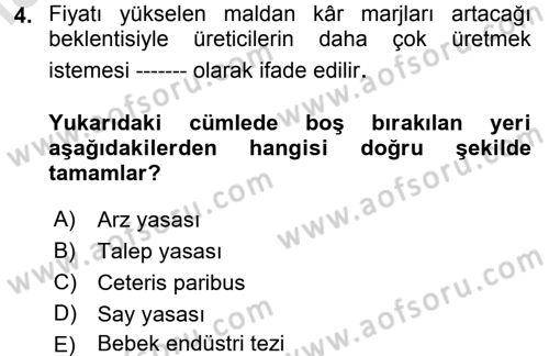 Uluslararası Politik Ekonomi Dersi 2018 - 2019 Yılı 3 Ders Sınav Soruları 4. Soru