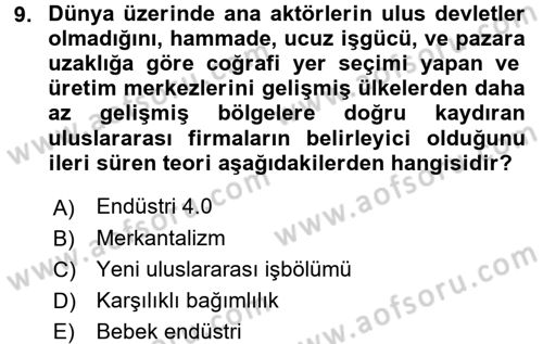 Uluslararası Politik Ekonomi Dersi 2018 - 2019 Yılı 3 Ders Sınav Soruları 9. Soru