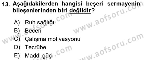 Uluslararası Politik Ekonomi Dersi 2018 - 2019 Yılı (Vize) Ara Sınav Soruları 13. Soru