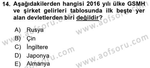 Uluslararası Politik Ekonomi Dersi 2018 - 2019 Yılı (Vize) Ara Sınav Soruları 14. Soru