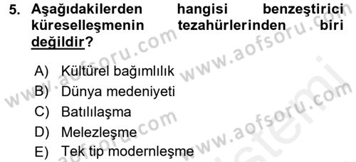 Uluslararası Politik Ekonomi Dersi 2018 - 2019 Yılı (Vize) Ara Sınav Soruları 5. Soru