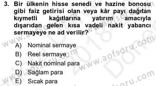Uluslararası Politik Ekonomi Dersi 2018 - 2019 Yılı (Final) Dönem Sonu Sınav Soruları 3. Soru