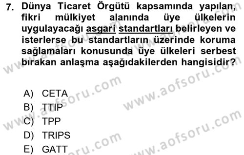 Uluslararası Politik Ekonomi Dersi 2018 - 2019 Yılı (Final) Dönem Sonu Sınav Soruları 7. Soru