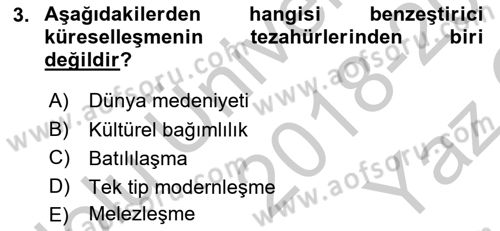 Uluslararası Politik Ekonomi Dersi 2018 - 2019 Yılı Yaz Okulu Sınav Soruları 3. Soru