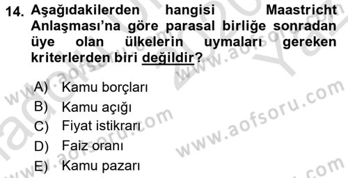 Uluslararası Politik Ekonomi Dersi 2020 - 2021 Yılı Yaz Okulu Sınav Soruları 14. Soru