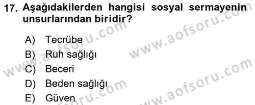 Uluslararası Politik Ekonomi Dersi 2021 - 2022 Yılı (Vize) Ara Sınav Soruları 17. Soru