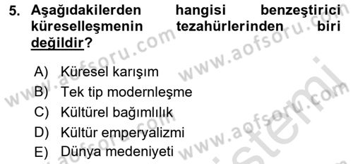Uluslararası Politik Ekonomi Dersi 2021 - 2022 Yılı (Vize) Ara Sınav Soruları 5. Soru
