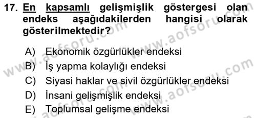Uluslararası Politik Ekonomi Dersi 2021 - 2022 Yılı Yaz Okulu Sınav Soruları 17. Soru