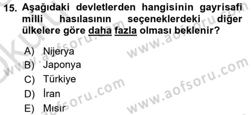 Uluslararası Politik Ekonomi Dersi 2022 - 2023 Yılı Yaz Okulu Sınav Soruları 15. Soru