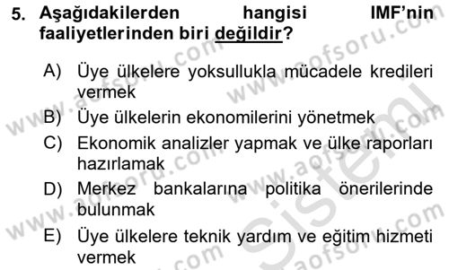 Uluslararası Politik Ekonomi Dersi 2022 - 2023 Yılı Yaz Okulu Sınav Soruları 5. Soru