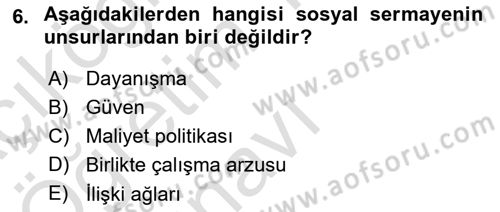 Uluslararası Politik Ekonomi Dersi 2022 - 2023 Yılı Yaz Okulu Sınav Soruları 6. Soru