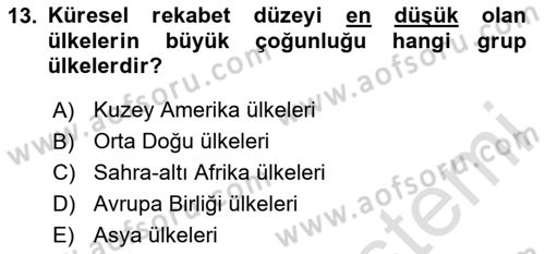 Uluslararası Politik Ekonomi Dersi 2023 - 2024 Yılı (Final) Dönem Sonu Sınav Soruları 13. Soru