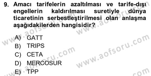 Uluslararası Politik Ekonomi Dersi 2023 - 2024 Yılı (Final) Dönem Sonu Sınav Soruları 9. Soru