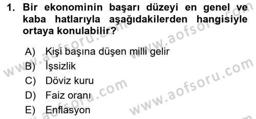 Uluslararası Politik Ekonomi Dersi 2023 - 2024 Yılı Yaz Okulu Sınav Soruları 1. Soru