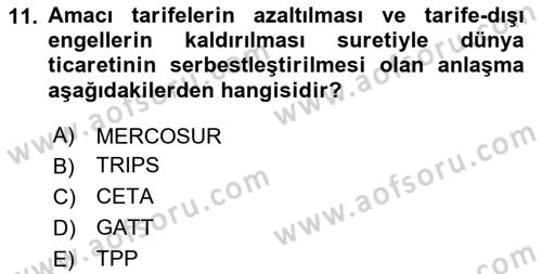 Uluslararası Politik Ekonomi Dersi 2023 - 2024 Yılı Yaz Okulu Sınav Soruları 11. Soru