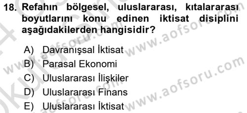 Uluslararası Politik Ekonomi Dersi 2023 - 2024 Yılı Yaz Okulu Sınav Soruları 18. Soru