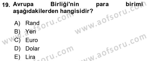 Uluslararası Politik Ekonomi Dersi 2023 - 2024 Yılı Yaz Okulu Sınav Soruları 19. Soru