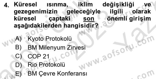 Uluslararası Politik Ekonomi Dersi 2023 - 2024 Yılı Yaz Okulu Sınav Soruları 4. Soru
