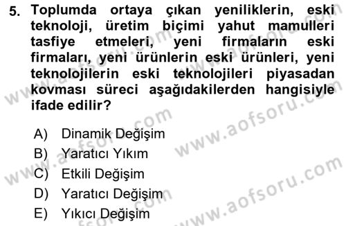 Uluslararası Politik Ekonomi Dersi 2023 - 2024 Yılı Yaz Okulu Sınav Soruları 5. Soru
