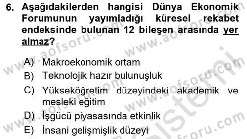 Uluslararası Politik Ekonomi Dersi 2023 - 2024 Yılı Yaz Okulu Sınav Soruları 6. Soru